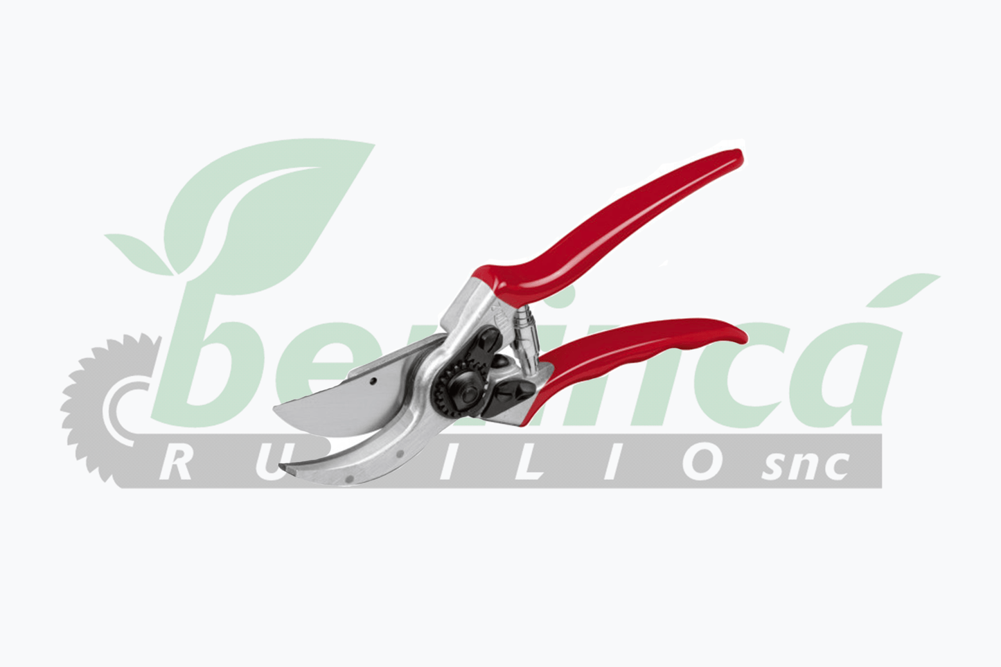 Felco 2 pruning shears