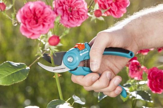 Cisailles de jardin Gardena B/SM
