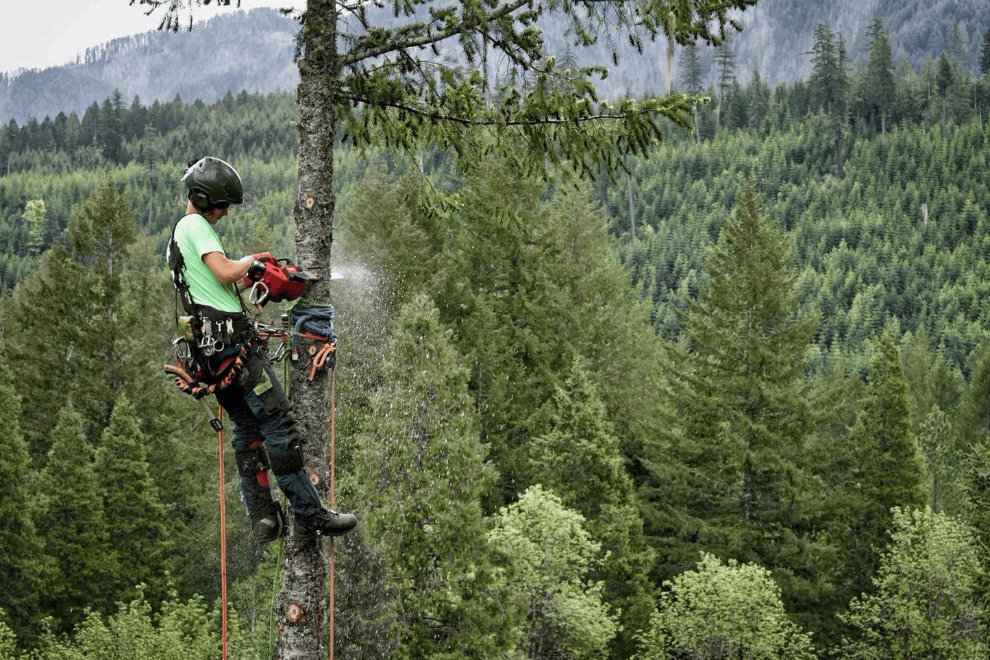 Motosega Milwaukee M18 FTHCHS30