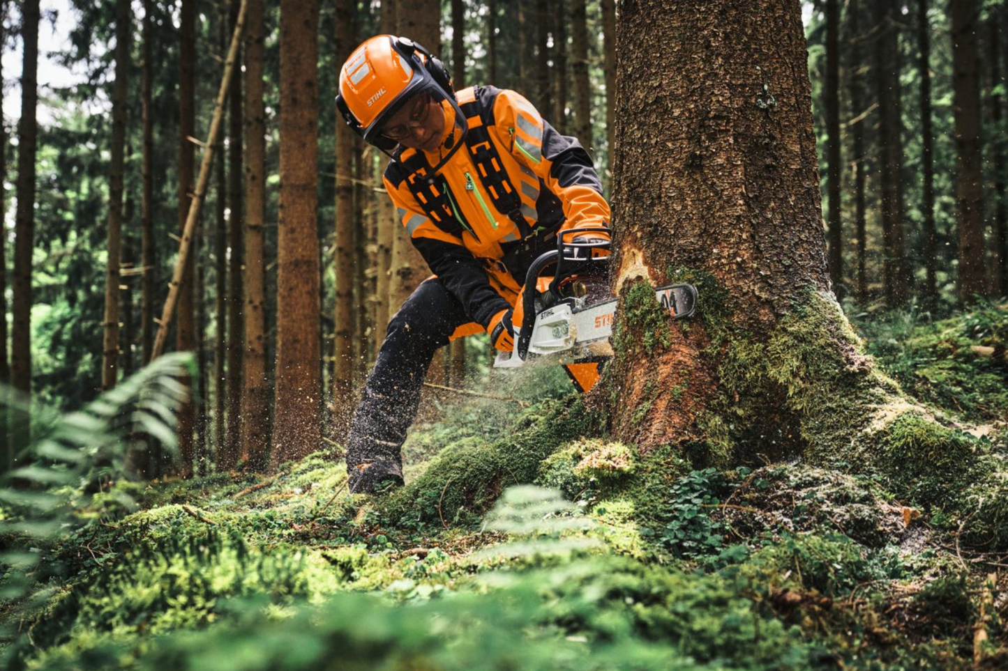 Motosega STIHL MS 300 C-M