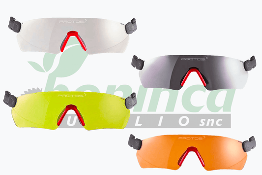 Protos Integral Forest safety glasses